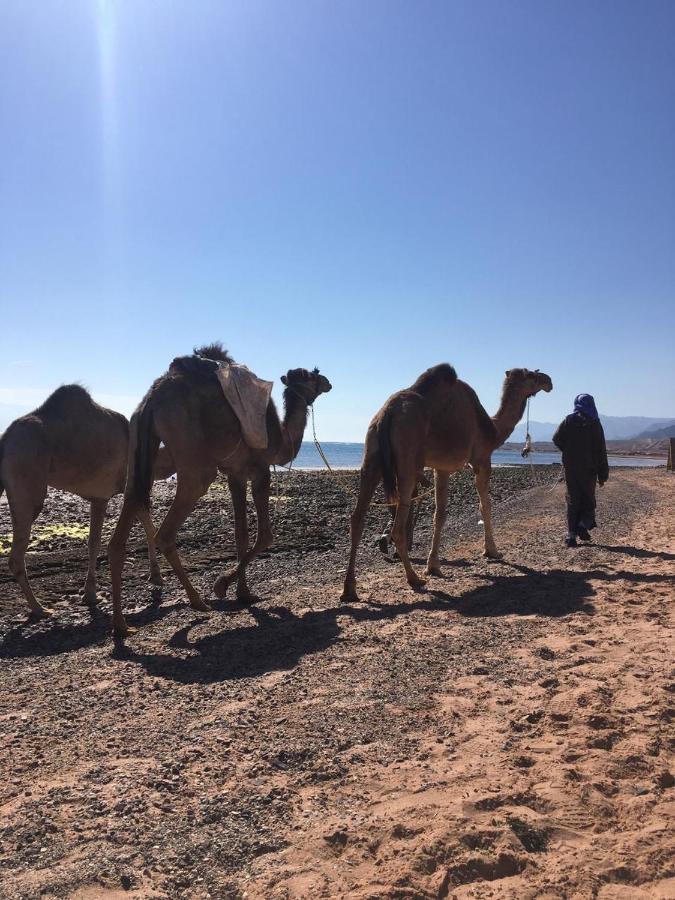 Anne Sinai'S Best Camp & Resturant Hotel Nuweiba` Екстериор снимка